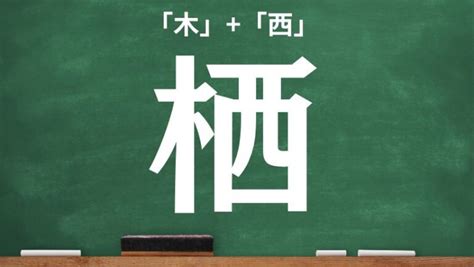 木卓 漢字|木へんに卓と書いて棹！意味・読み方から名前での使。